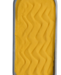 Alphonso Mango Sorbetto